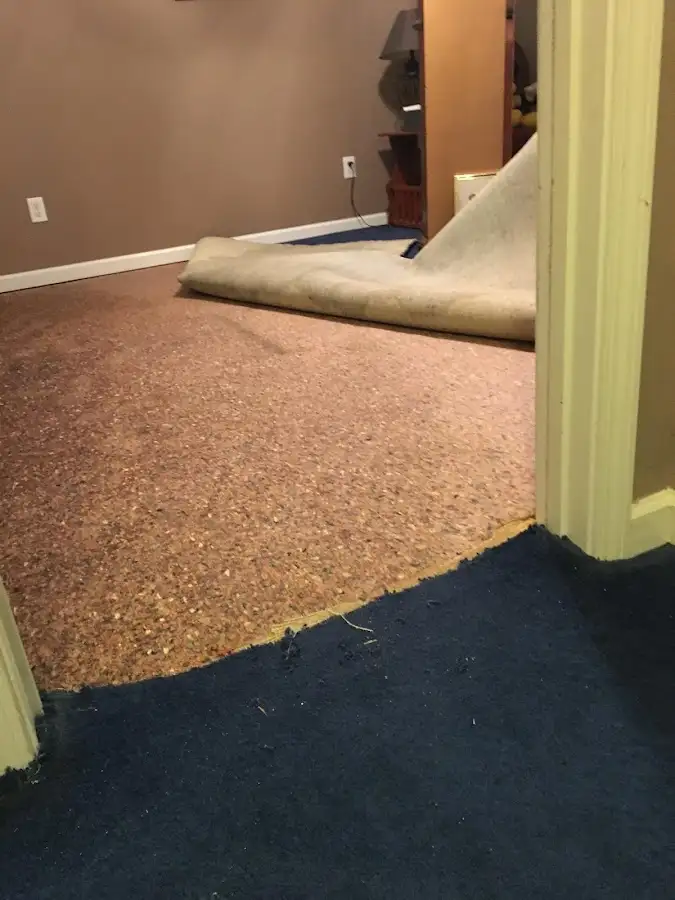 Carpet pad removal revealing water damage during Drying & Dehumidification in Sun City Center