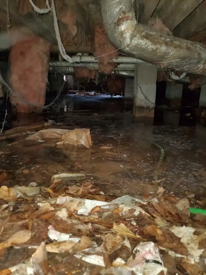 Crawl space flood assessment for Commercial Water Damage Restoration in Sun City Center