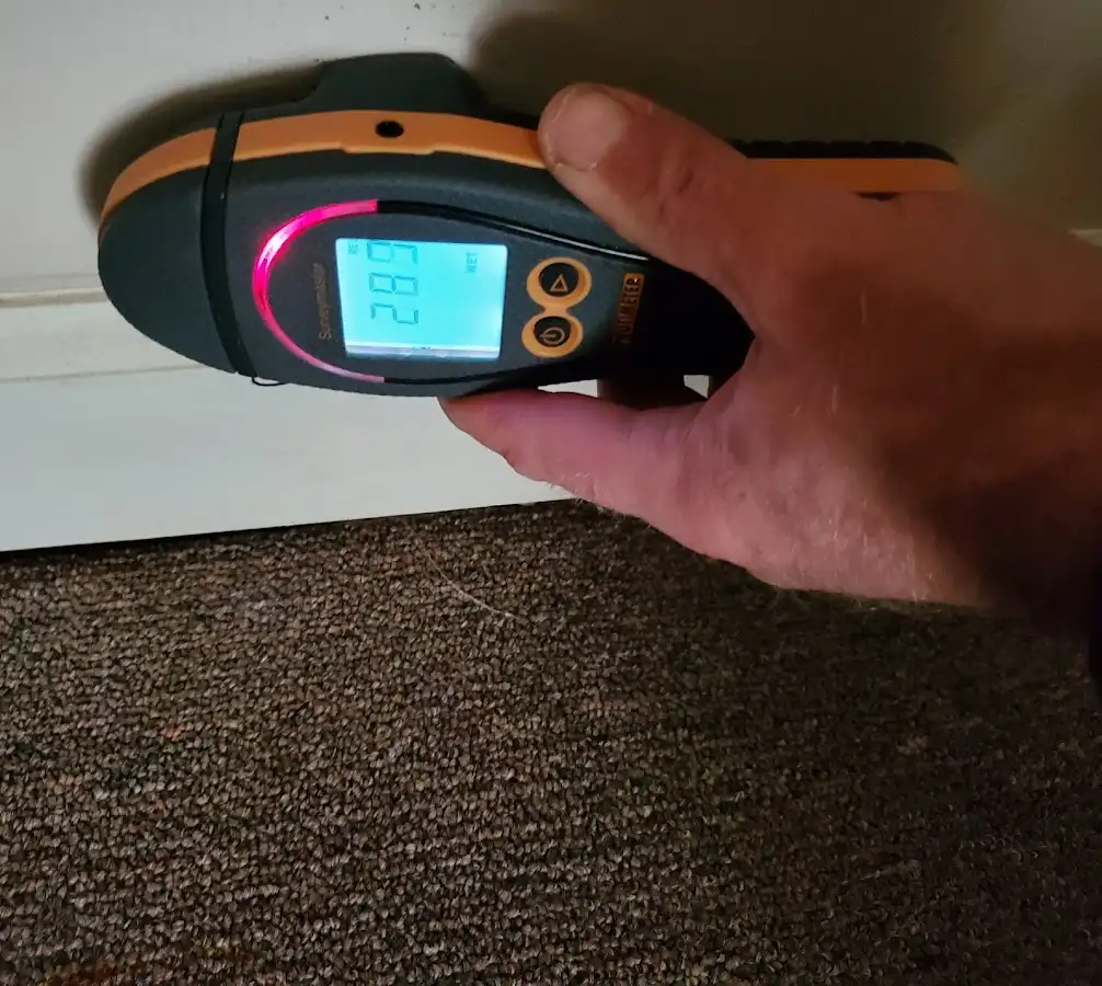 Moisture detection at baseboard during Mold Inspection & Testing in Sun City Center